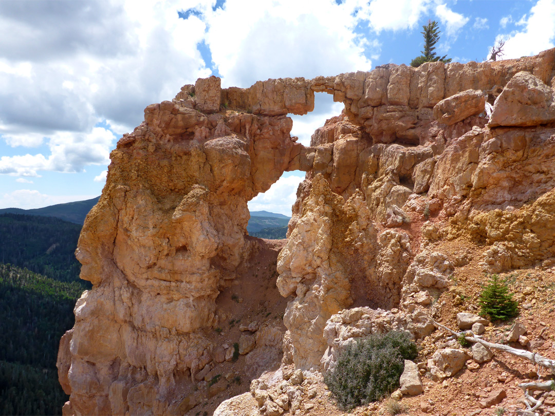 Double arch