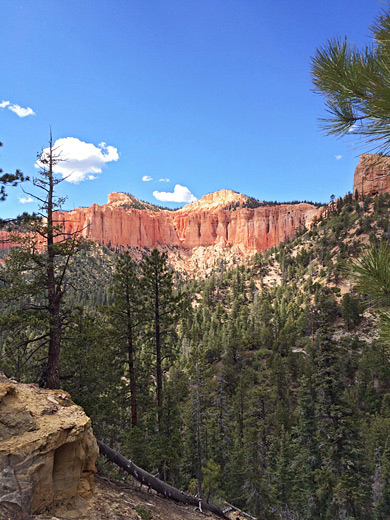 Pink Cliffs