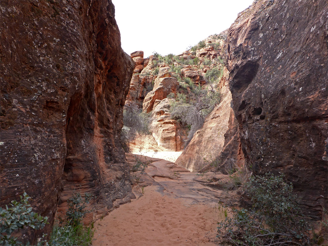 Narrow ravine