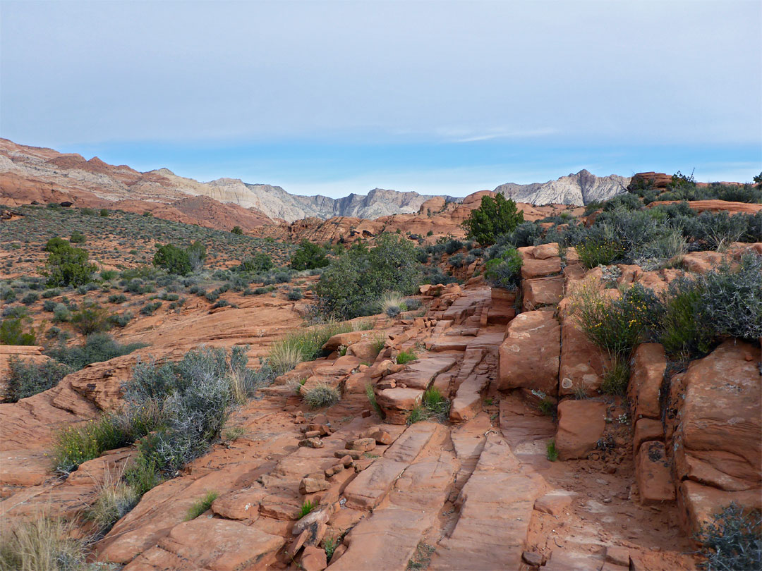 Red sandstone