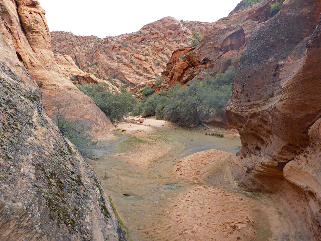 Dried-up pool