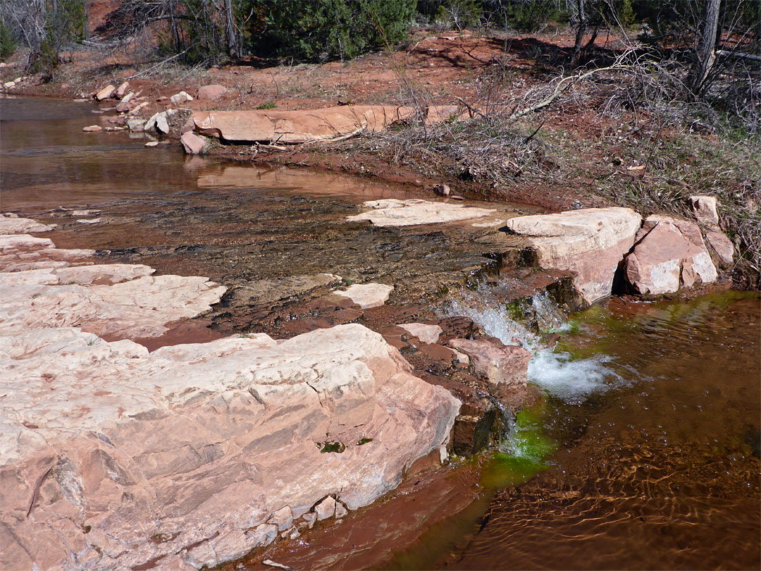 Cascade and pool