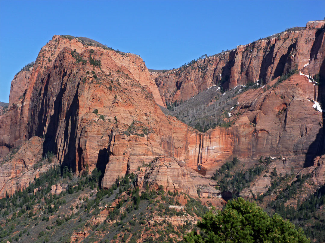 Timber Top Mountain