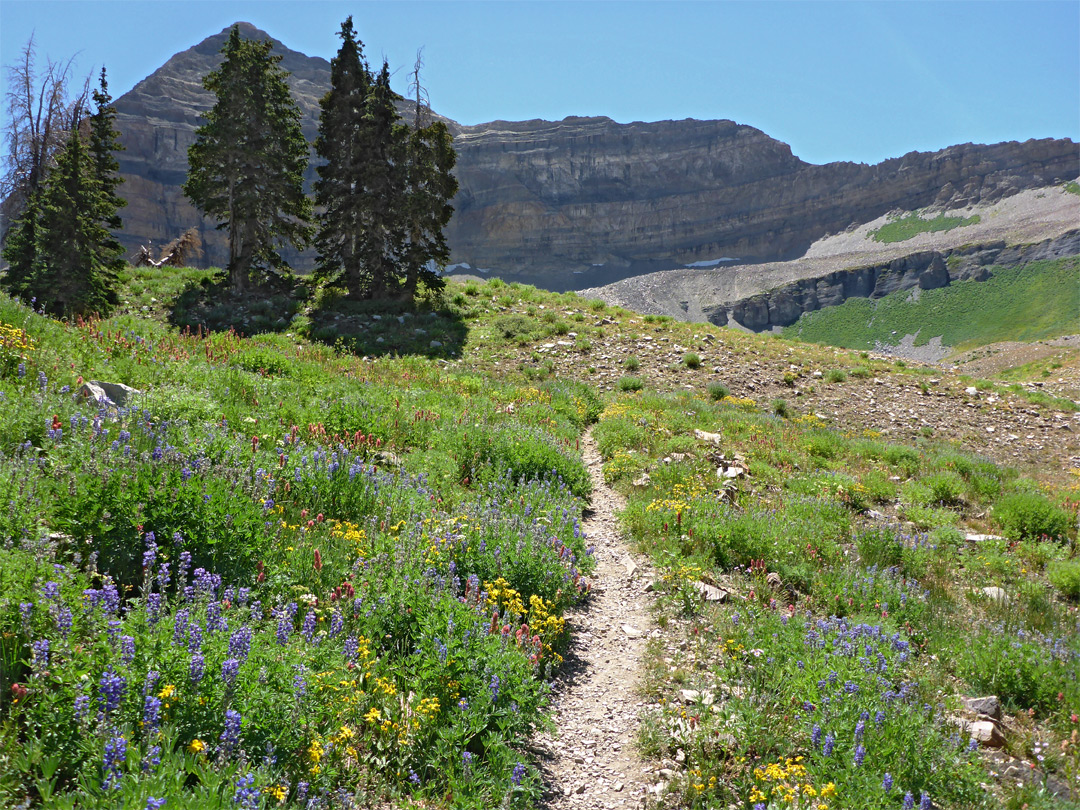 Timpanogos Basin