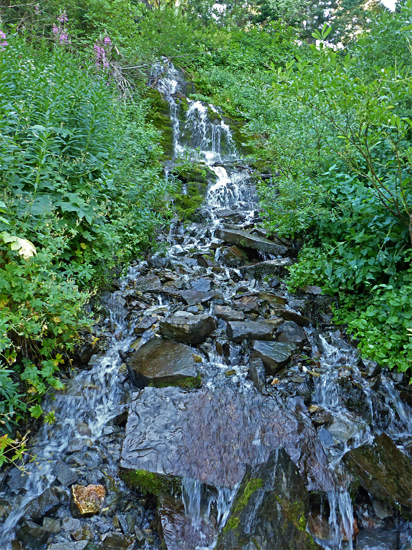 Stream