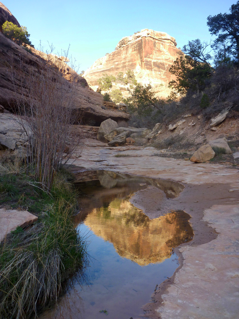 Pool in the lower canyon