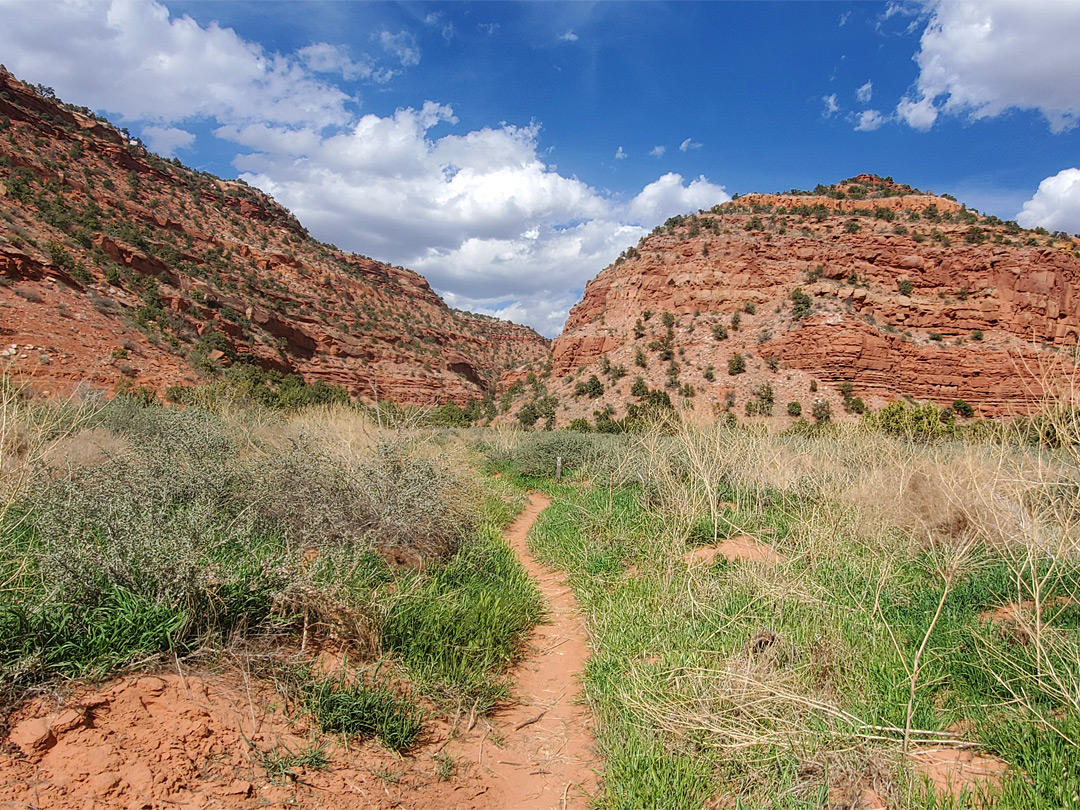 Sandy path