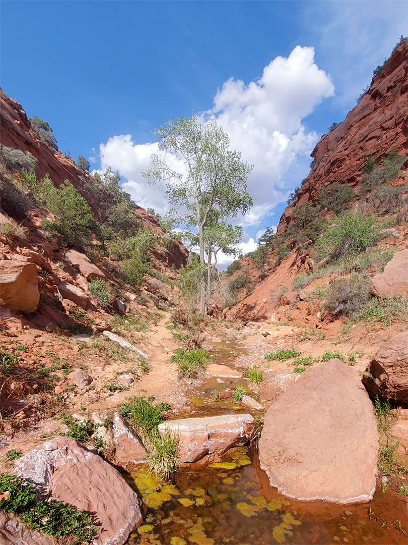 Pool and boulder