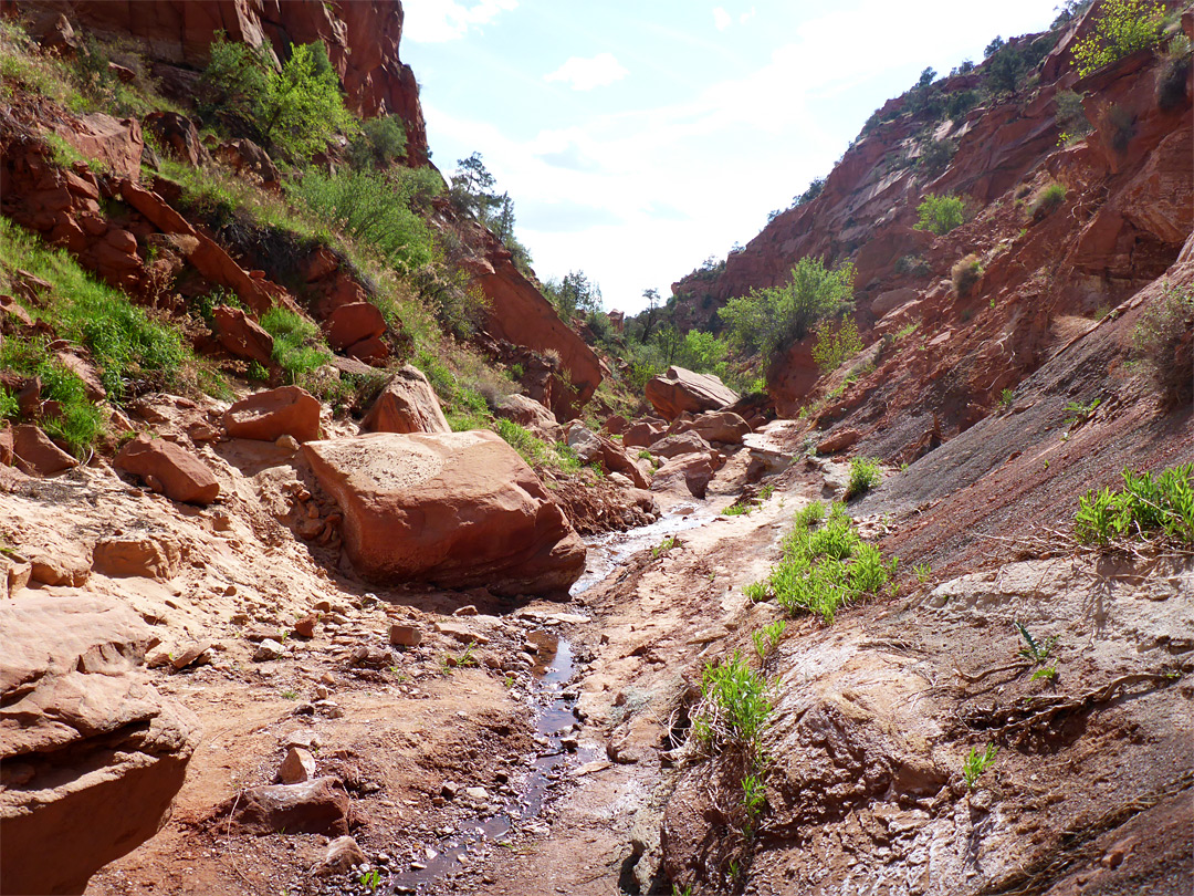 Small stream