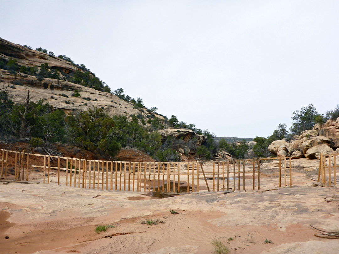 Wooden fence