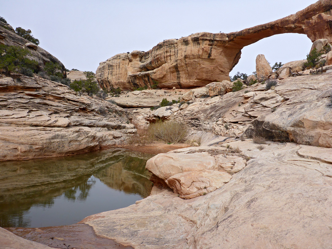 Slickrock below the bridge