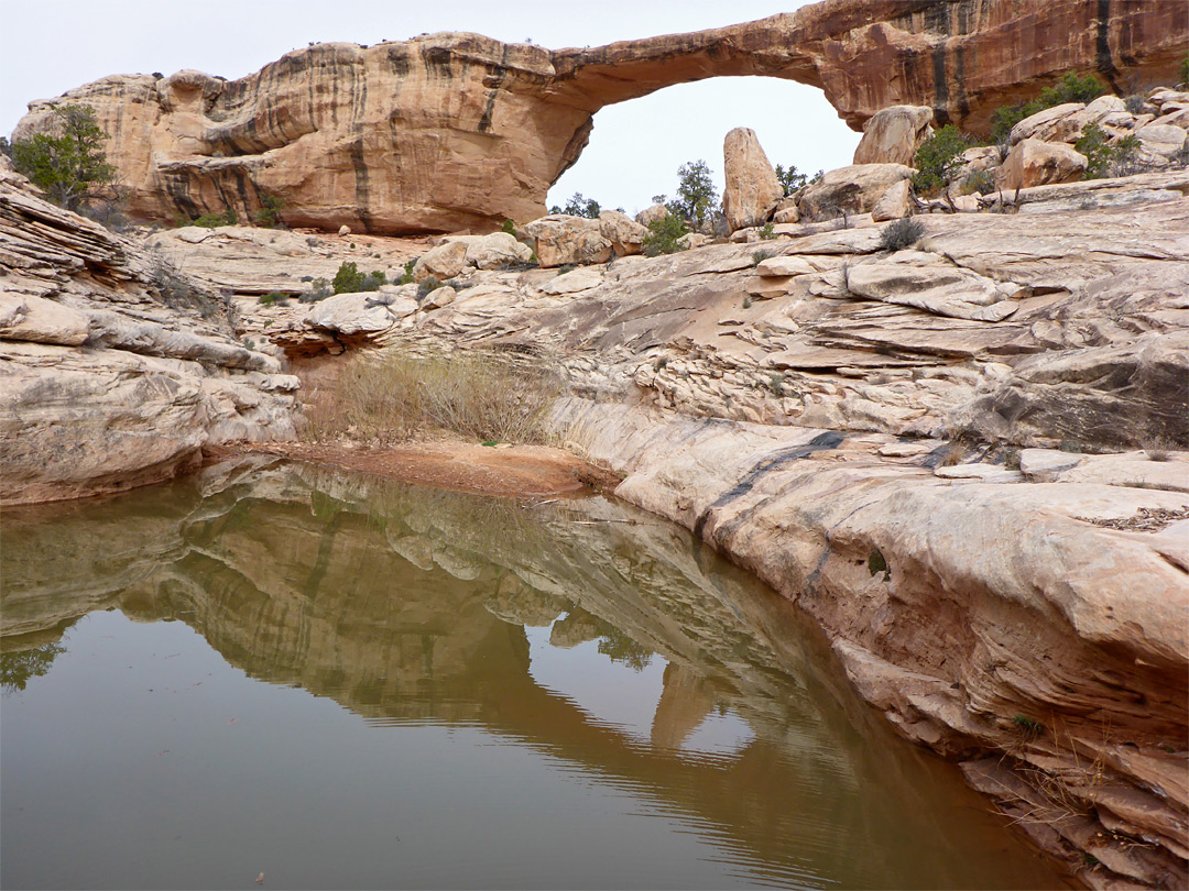 Reflective pool