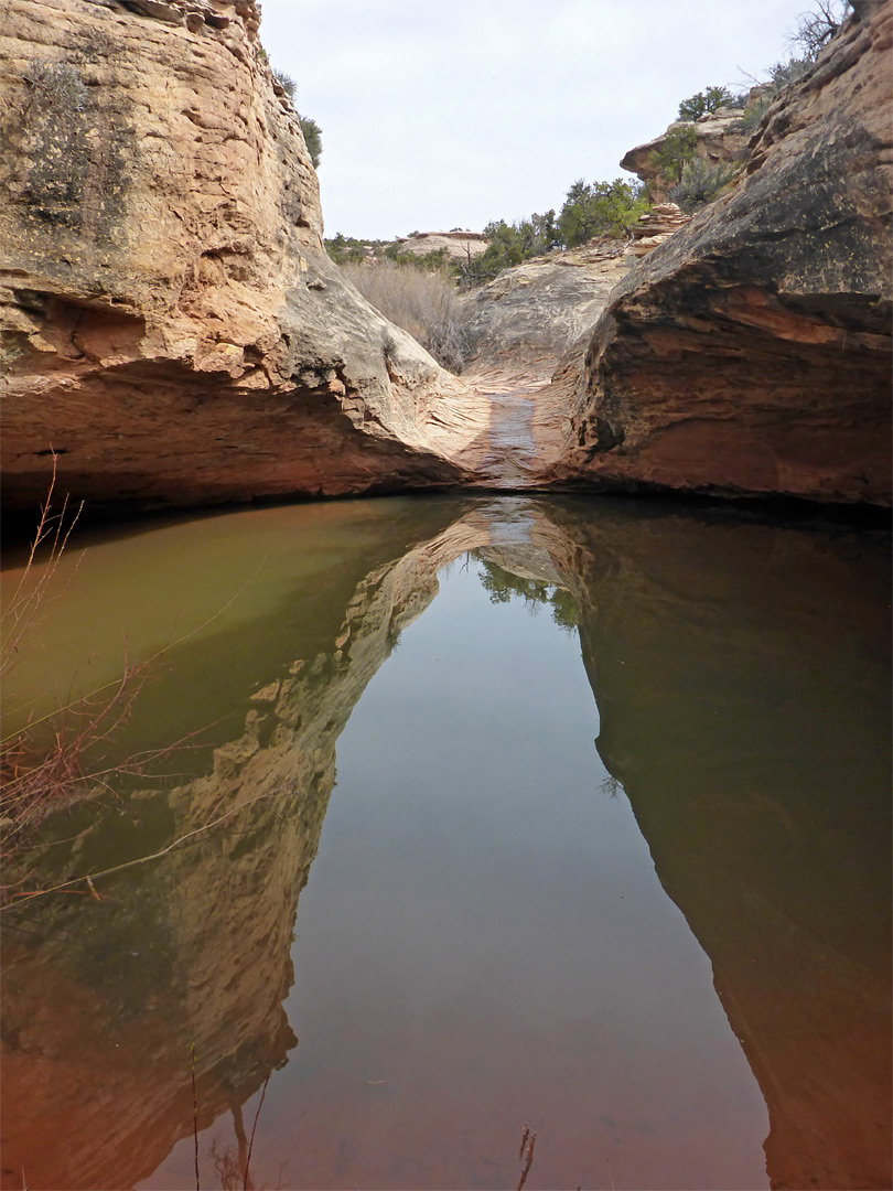 Reflections on a deep pool