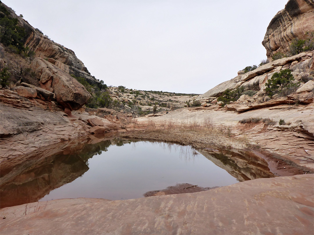 Pool in the lower canyon