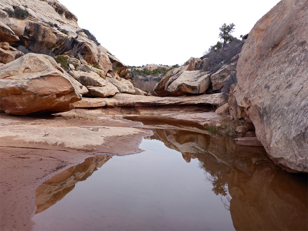 Pool and boulders