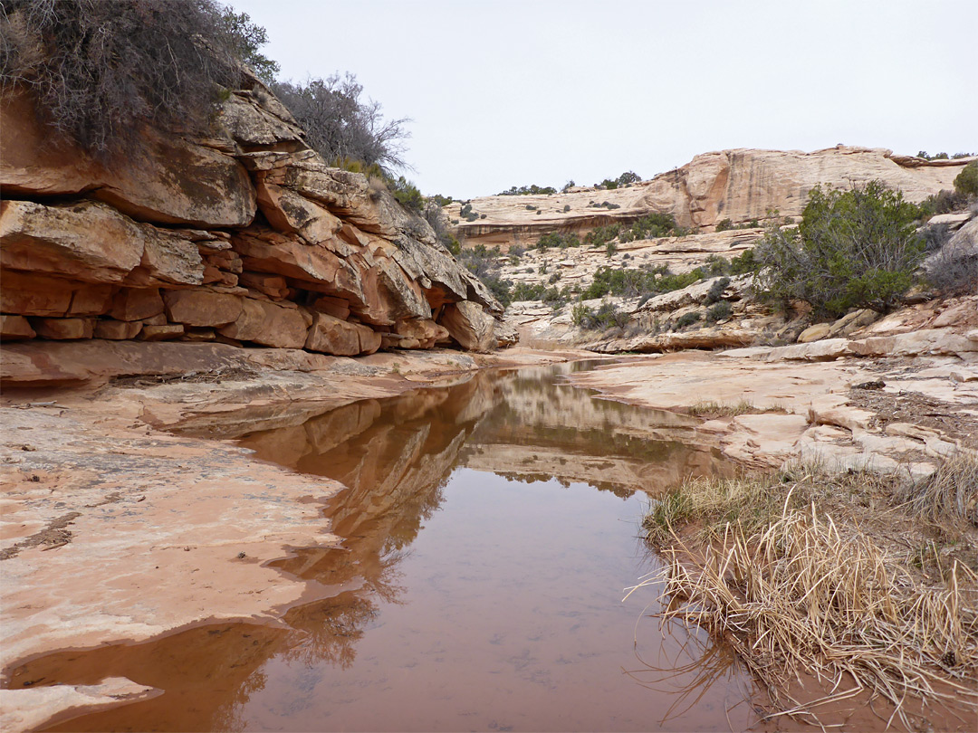 Long pool