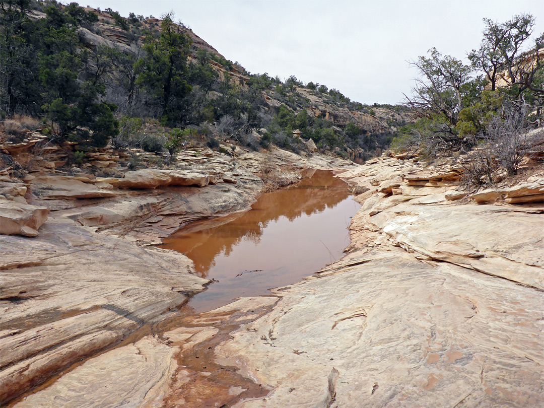 Wide canyon