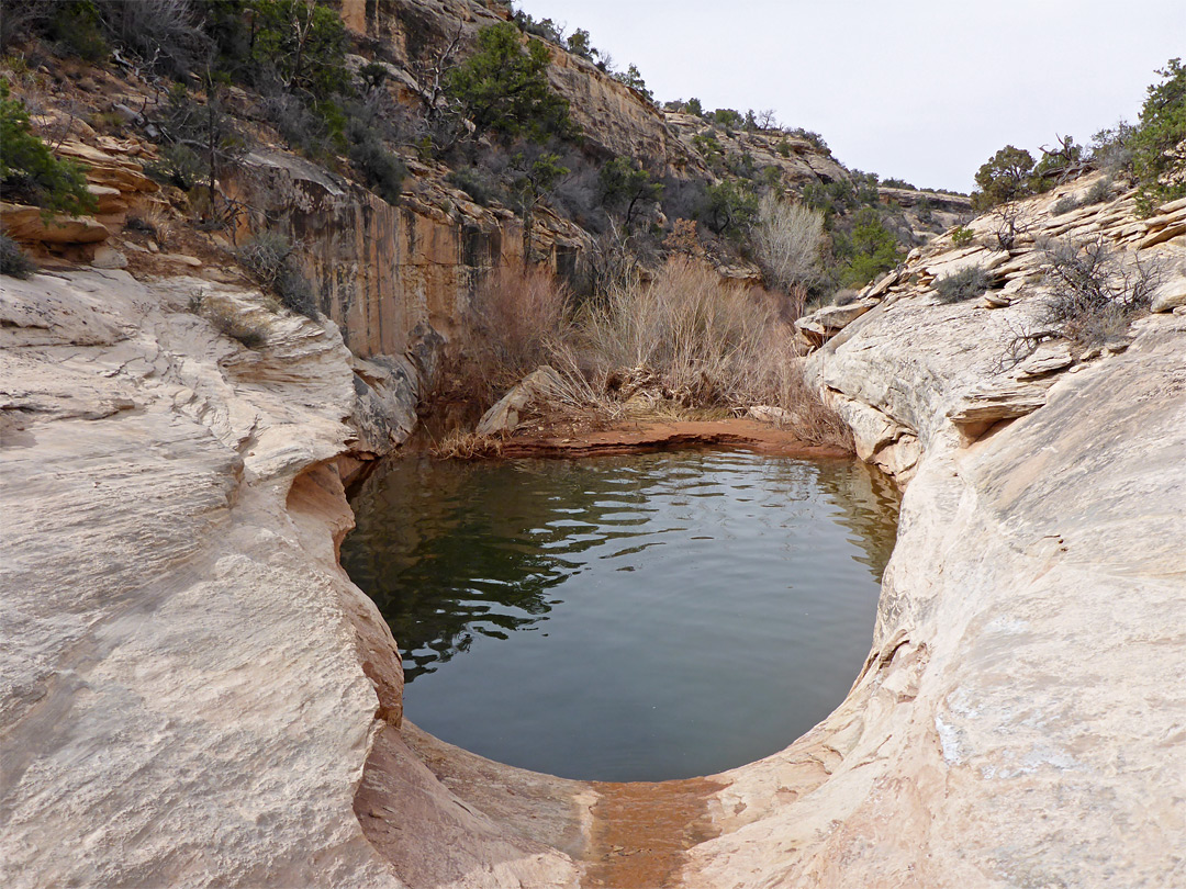 Enclosed pool