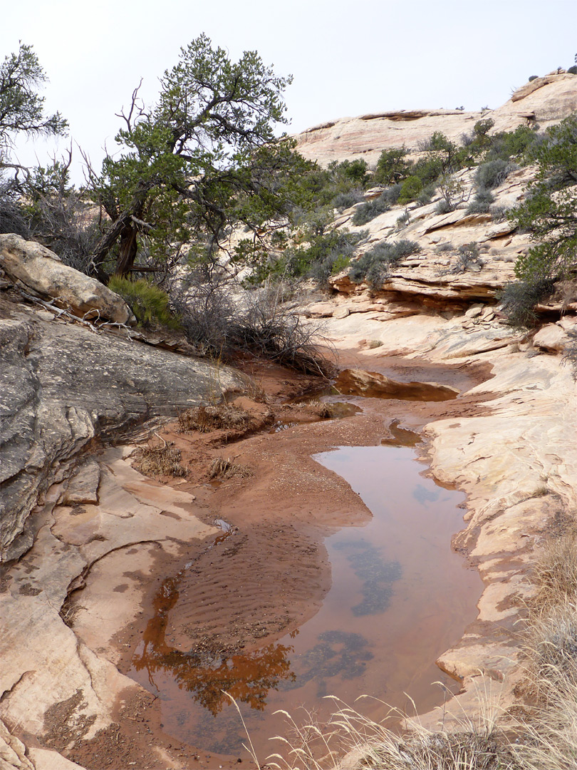 Shallow canyon