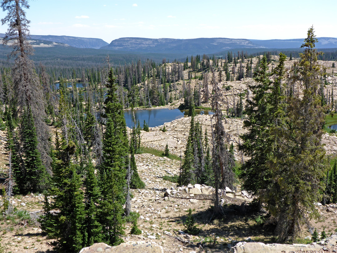 Above the Twin Lakes