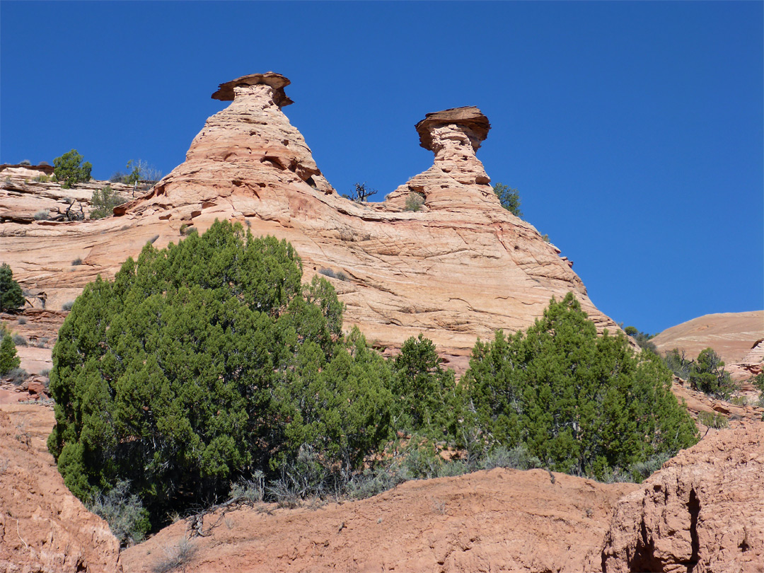 Two hoodoos