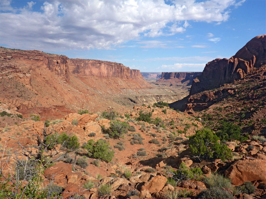 Bushes and boulders