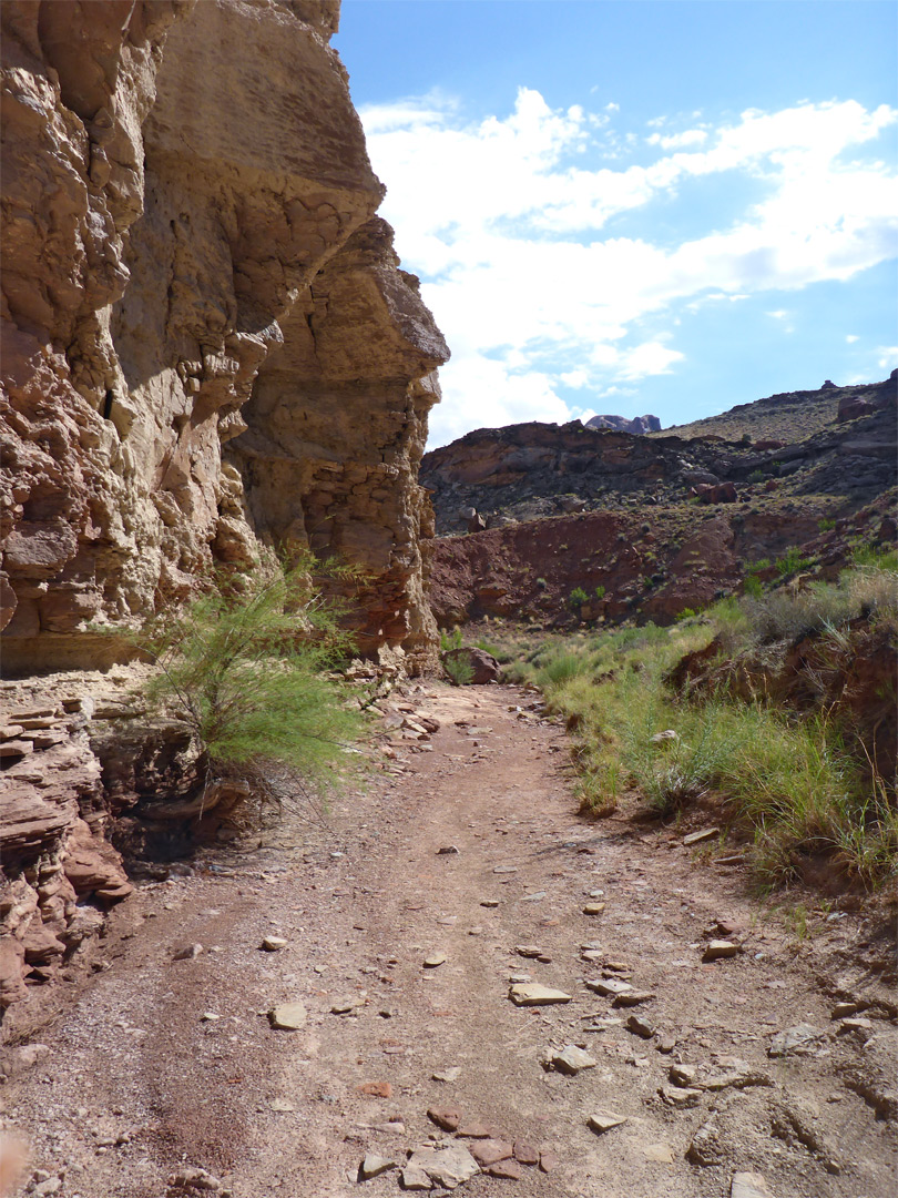 Dry streambed