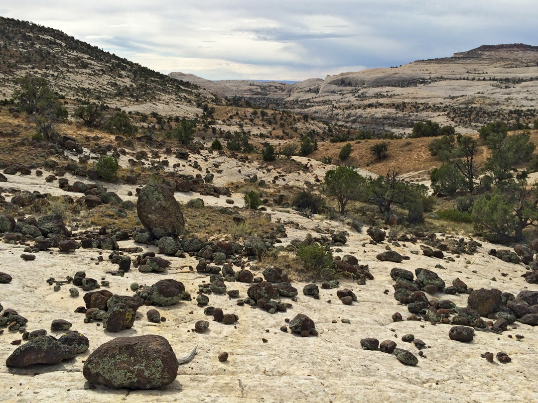 Typical view along the trail