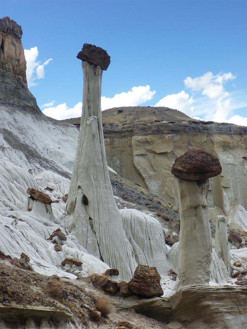 Slender hoodoo