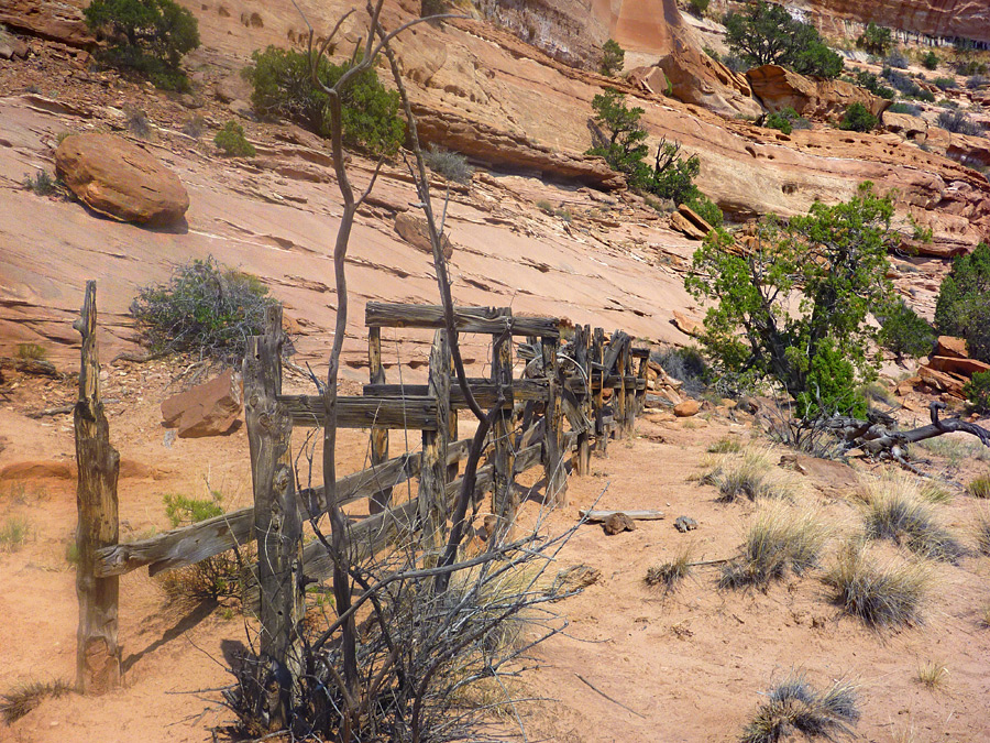 Remains of a water trough