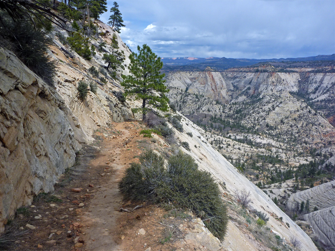 Path across slickrock cliffs