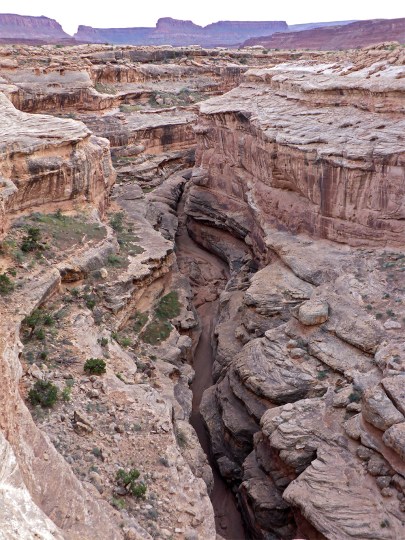 White Canyon