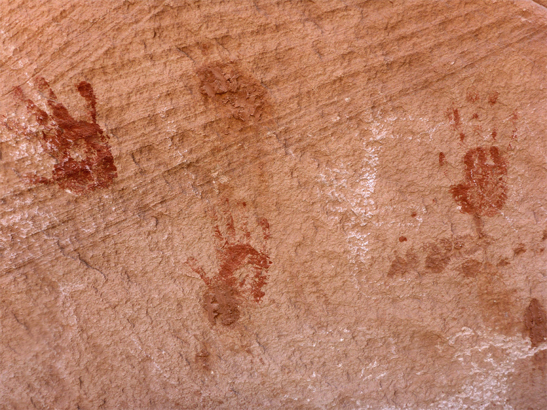 Group of handprints