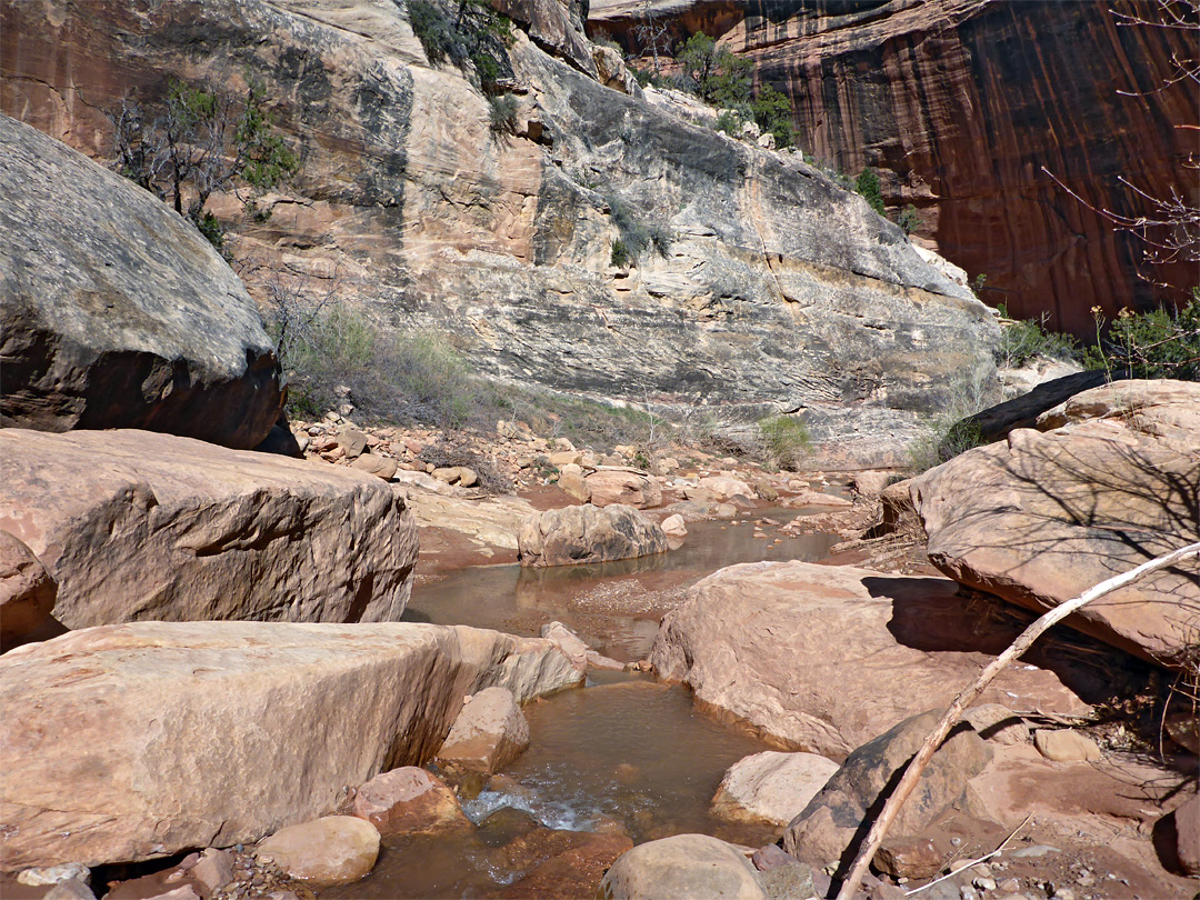 Stream and boulders