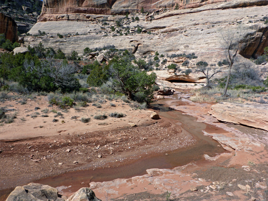 Bend on the stream