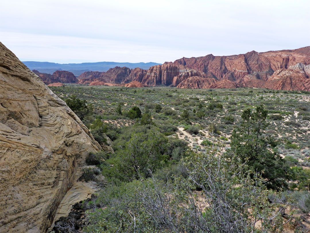 Distant red cliffs