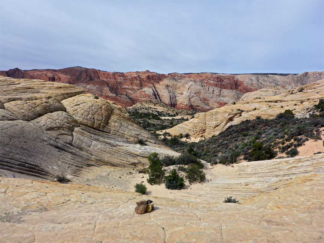 Yellowish slickrock