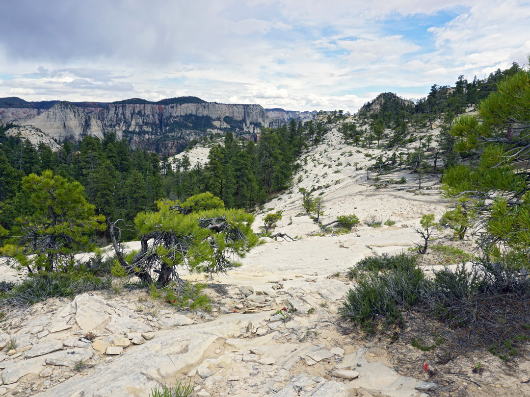 Wildcat Canyon Trail