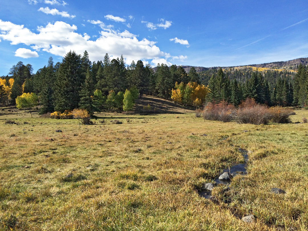 Wildcat Pasture