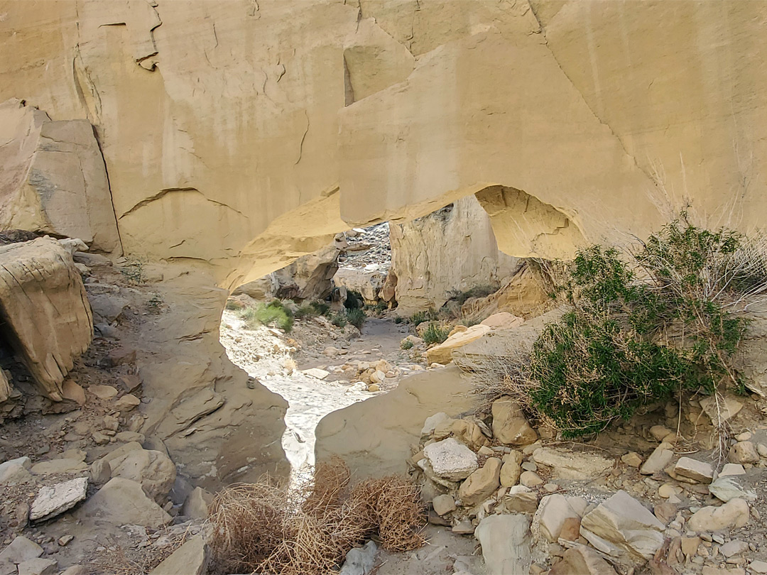 Wiregrass Natural Bridge