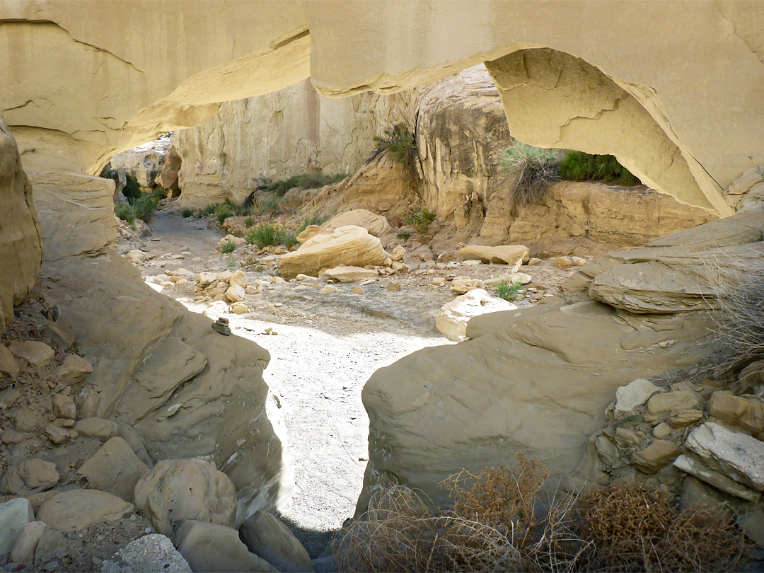 T-shaped natural bridge