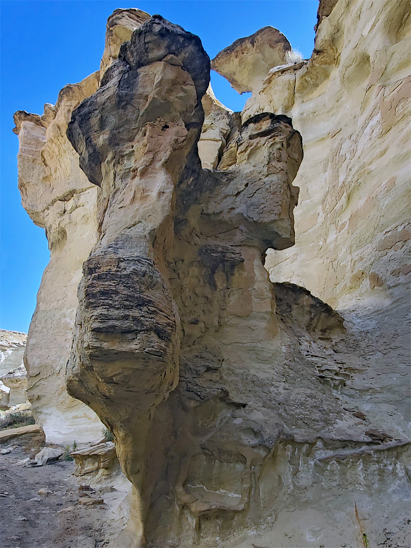 Protruding formation