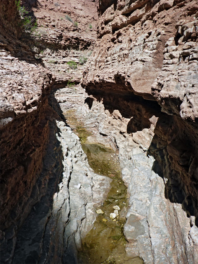 Stream in the narrows