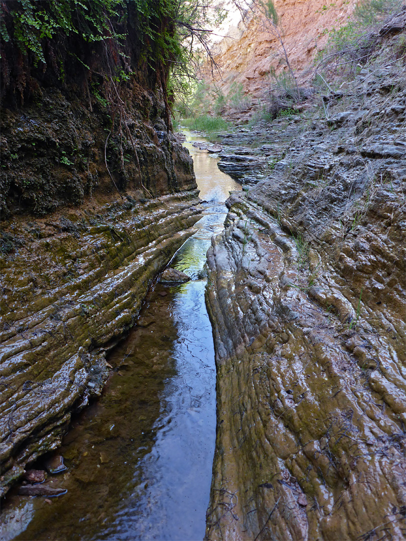 Dripping spring