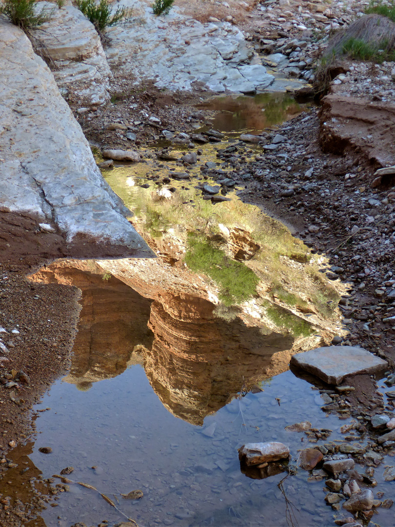 Reflections on a pool