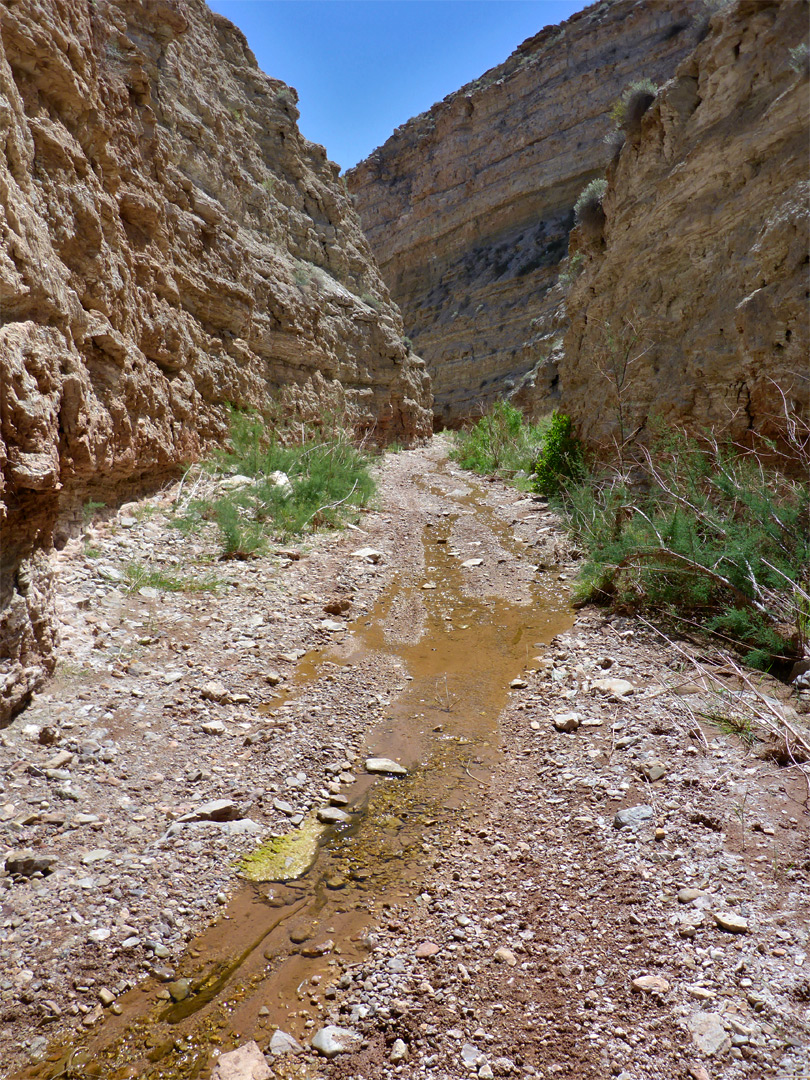 Shallow stream