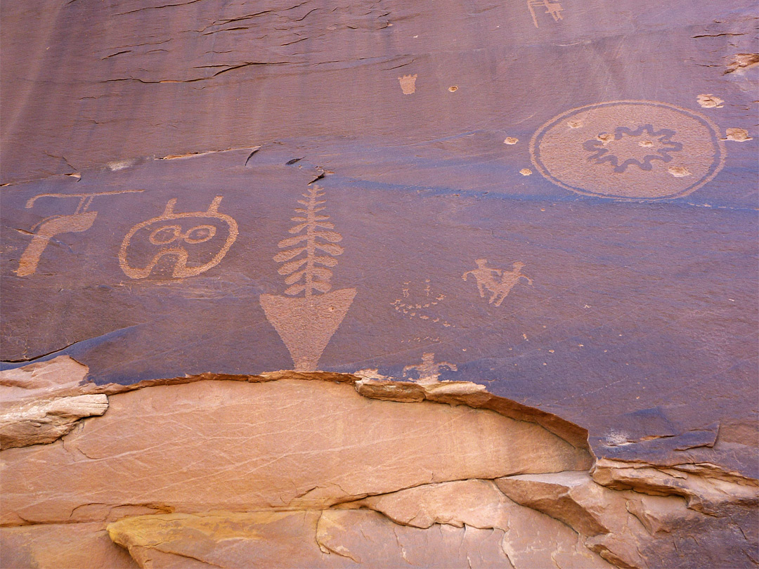 Intricate petroglyphs