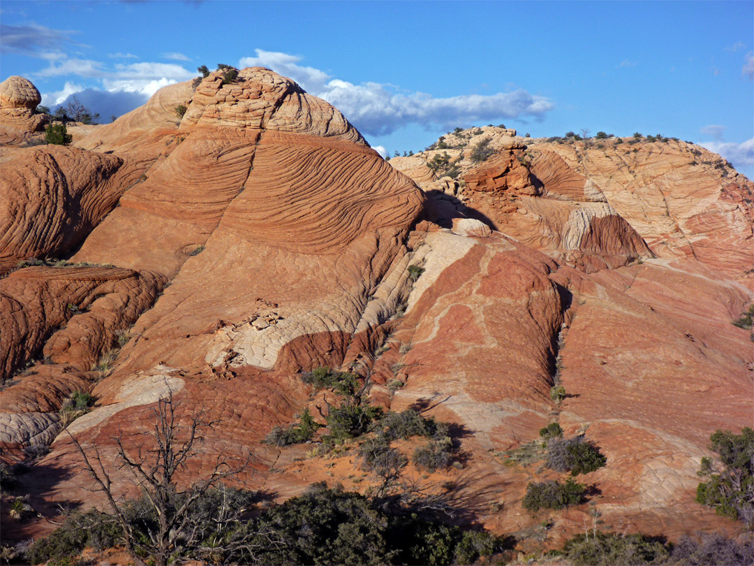 Undulating sandstone