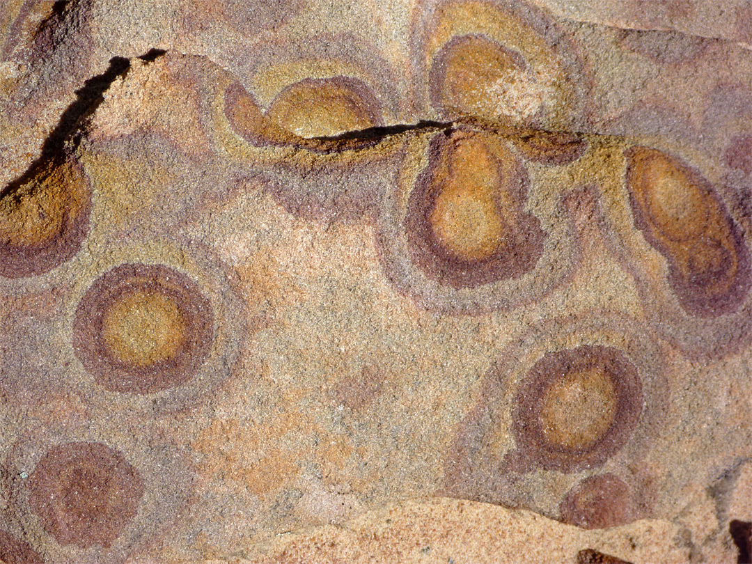 Multicolored nodules