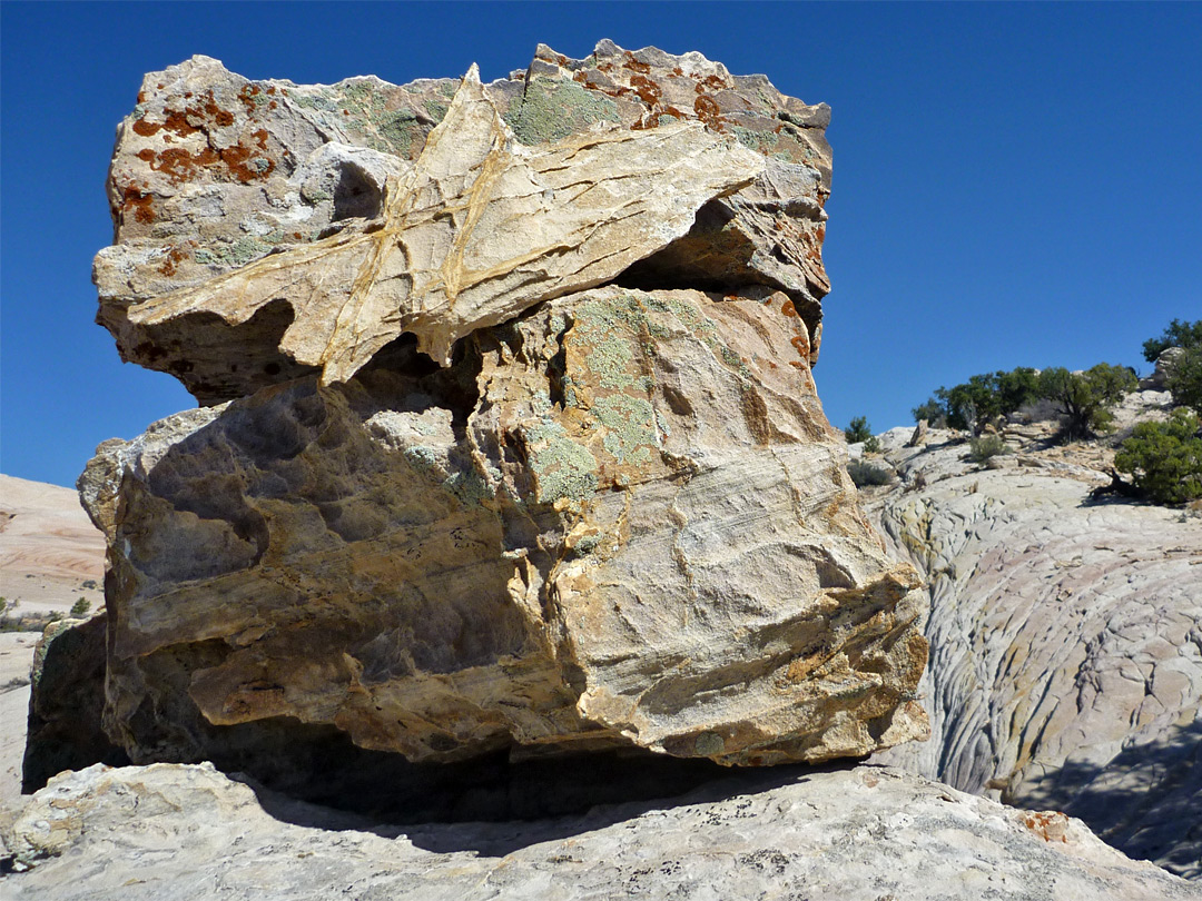 Lichen-covered rock